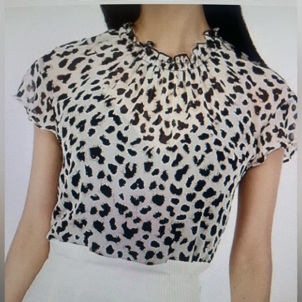 Express Leopard Print, Sheer, Ruffle Neck Top. Size Small.